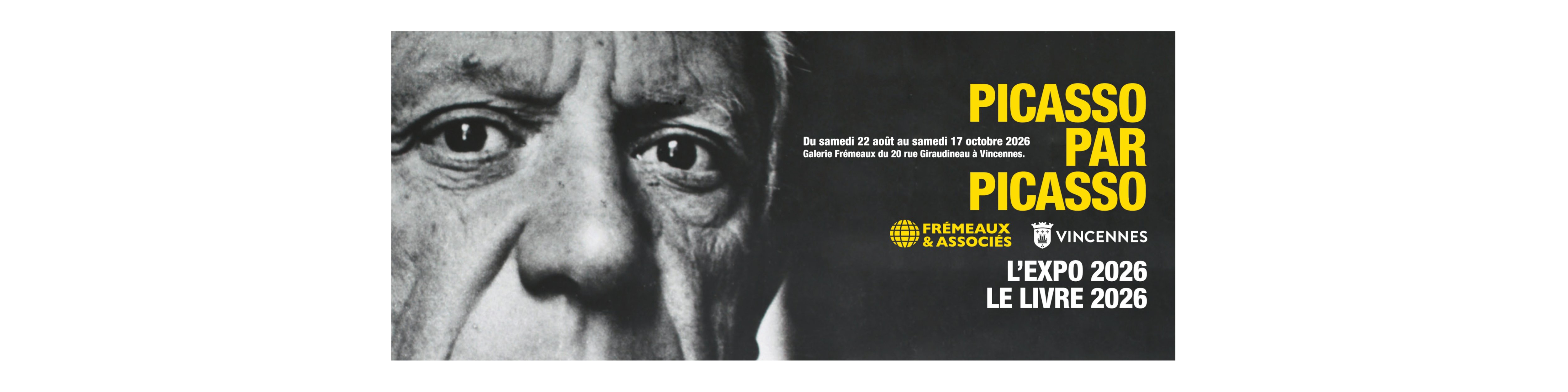 Picasso par Picasso