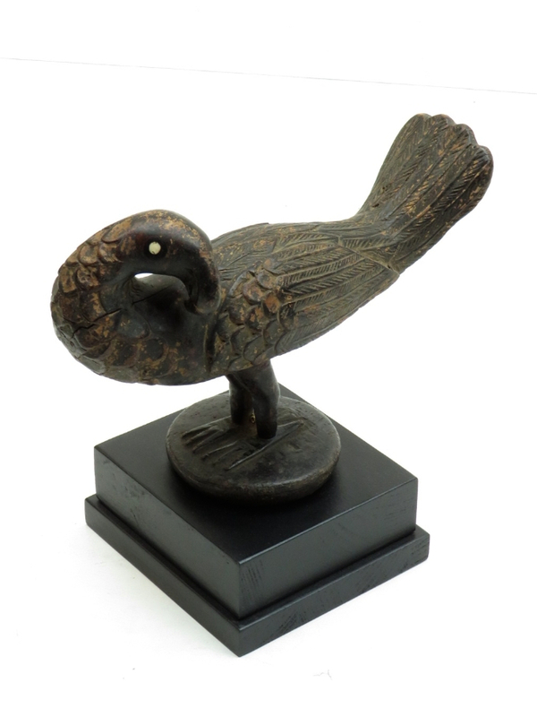 Oiseau Yaourét